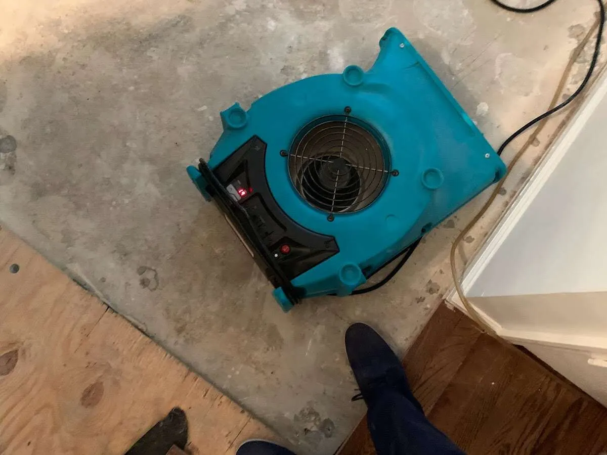 Air mover drying subfloor during Leak Detection & Repair in Columbia Falls